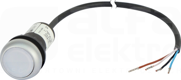 C22-DL-W-K10-24-P65 biały Lampka sygnalizacyjna płaska