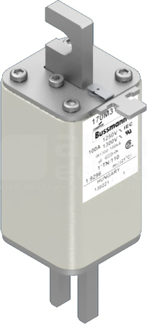 100A 1250V aR 1xTN/110 Bezpiecznik