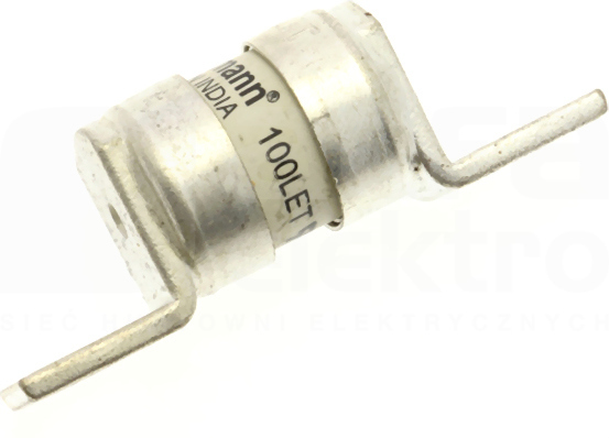 BS88 100A 240VAC Bezpiecznik