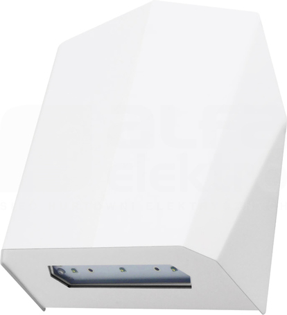 OUTDOOR 3x1W 3h SA/SE 360lm biały Oprawa awaryjna 2-zadaniowa sys.monitoringu