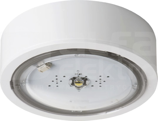 iTECH C1 302 M ST W Oprawa awaryjna