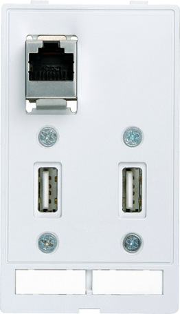 MODLINK MSDD RJ45+2xUSB F/F Moduł złącza danych