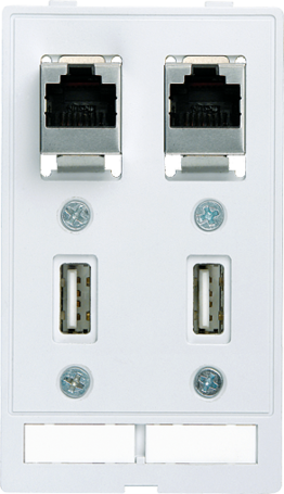 MODLINK MSDD 2xUSB+2xRJ45 Moduł złącza danych