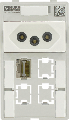 1x RJ45 + 3x data cutout Wkład panelu