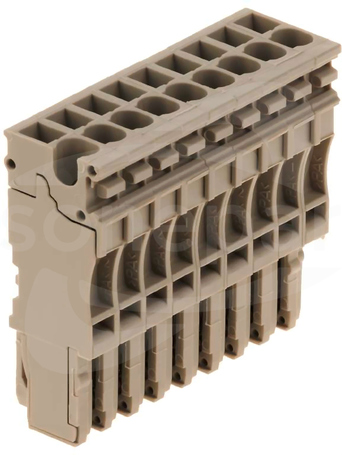 ZP 2.5/1AN/9 Wtyczka