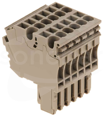 ZP 2.5/2AN/QV/6 Wtyczka
