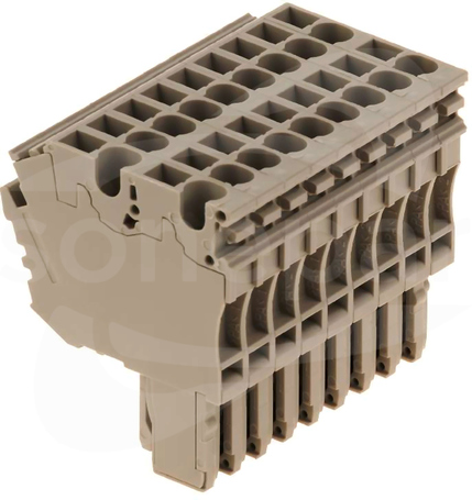 ZP 2.5/2AN/QV/9 Wtyczka