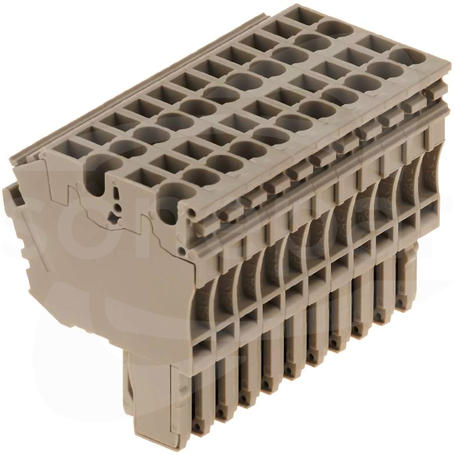 ZP 2.5/2AN/QV/11 Wtyczka