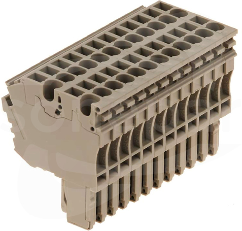 ZP 2.5/2AN/QV/12 Wtyczka