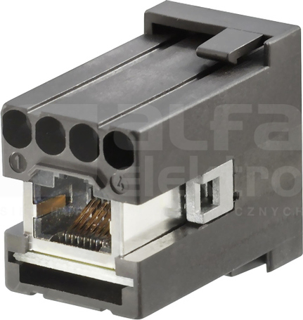 HDC CM RJ45 żeński Moduł gniazdowy