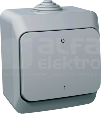 CEDAR PLUS IP44 szary Łącznik 2-biegunowy