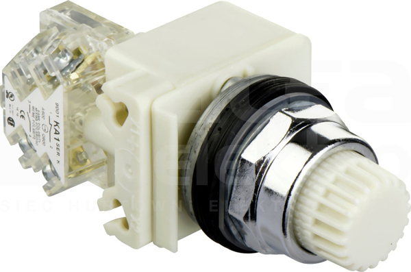 9001K2L35WH13 30mm PRZYCISK PODŚWIETLANY