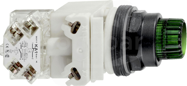 9001SK2L38LGG Zielony 120VAC/DC 1 C/O Przycisk