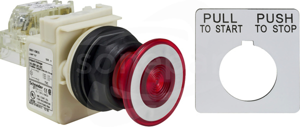 9001SKR9P1RH13 120VAC 30mm SK +opcje Przycisk