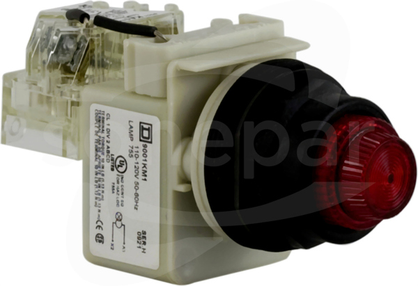 9001SKT1R31 120VAC 30mm SK +opcje Lampka