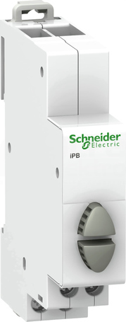 IPB 2P 20A 1NO/1NO 250V Przycisk