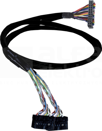 KABEL TWIDO 2xHE10 1m WE/WY AKCESORIA ŁĄCZENIOWE