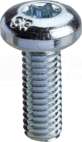 WKRĘT TORX T30 (M6x16) Akcesoria