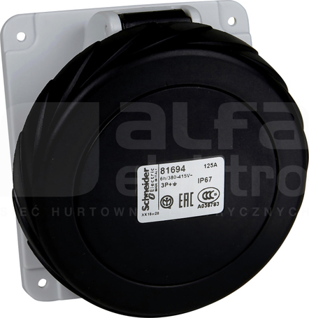 PKY16F745 16A 3P-N+E 500V 50/60Hz IP67 GNIAZDO - ROZDZ.AKCESORIA