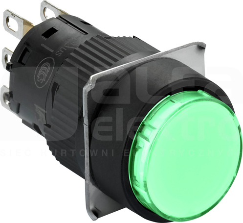 XB6EAA31P 1NO zielony Przycisk kryty z samopowrotem