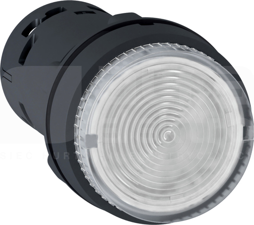 XB7NW37B1 1NO biały Przycisk samopowr.podśw.LED