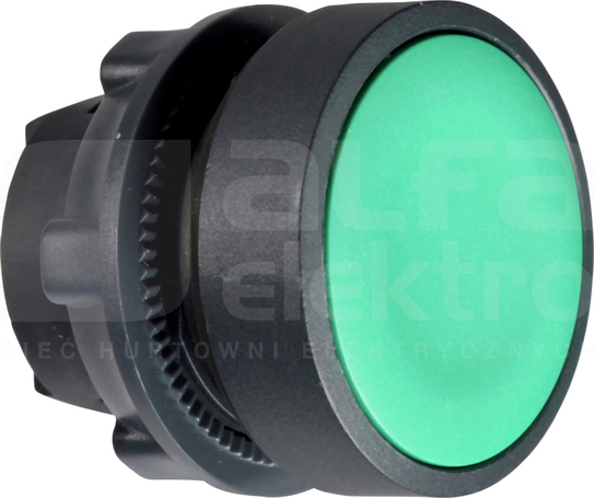 ZB5AH03*KRYTY, ZIELONY NAPED PRZYCISKU STABILNEGO