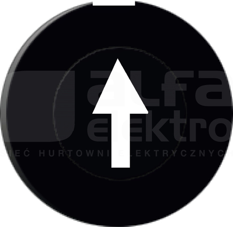 ZB6YA219 Wkł.oznakow.do przycisku