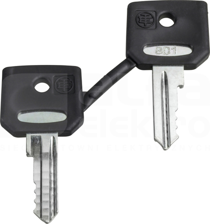 ZBG3131A KOMPLET 2 KLUCZY NR 3131A