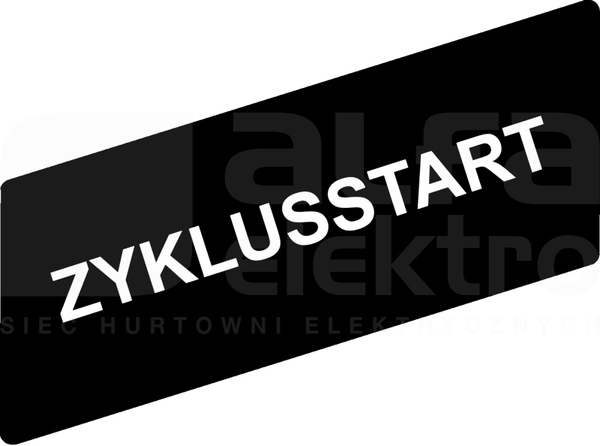 ZBY02295*BIALEZYRLUSSTARTC ETYKIETA 8X27 DO RAMKI 30X40