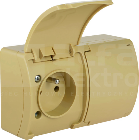 KOALA VG-2 2x2P+Z IP44 beżowy/beżowy Gniazdo natynkowe z klapką