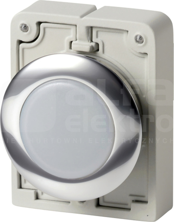 M30C-FL-W biały GŁÓWKA LAMPKI