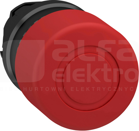 ZB4BT847 ODRYGL.P.WYC. NAPED PRZYC.DLON.Z ZATRZASKI