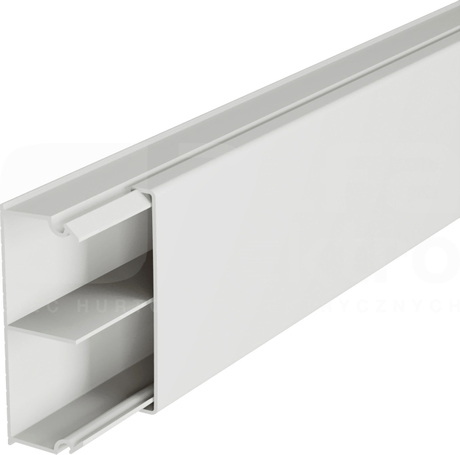 LN 50x20 2C ECO Listwa kablowa