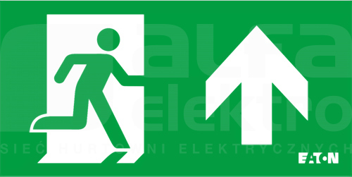 NEXI-PICTO-U Piktogram strzałka w góra