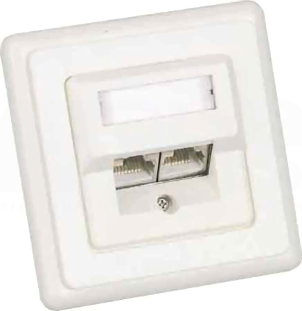 DNW-DD80/2RJ45/5E/S/WS Gniazdo 2xRJ45 80X80 białe