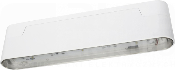 ARROW N LED 1W 3h IP40 biały Oprawa awaryjna 2-zadaniowa