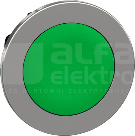 ZB4FH03 zielony push push Główka przycisku