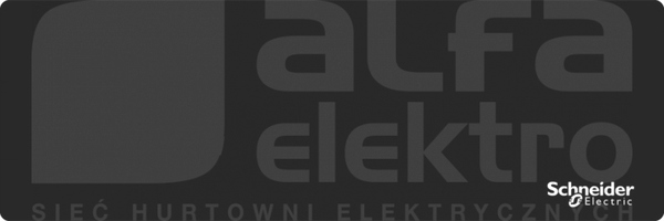 ZBYLEG301000 300 x 100 pusty Panel legenda