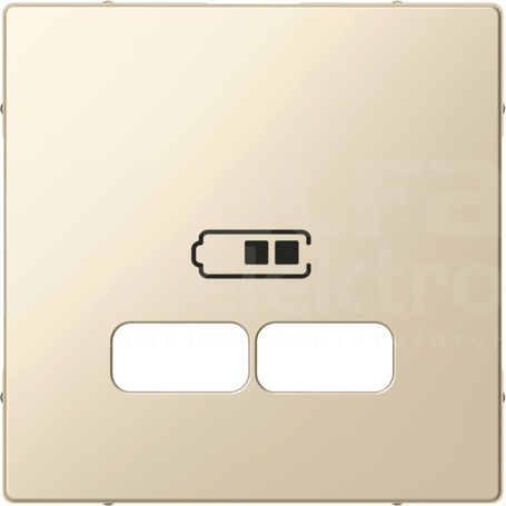 MERTEN M kremowy Płytka cent.gn.ład.USB