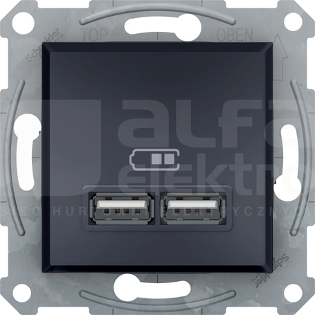 ASFORA 2xUSB 2.0 2,1A czarny Gniazdo podwójne USB