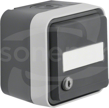W.1 szary IP55 Gniazdo SCHUKO na klucz