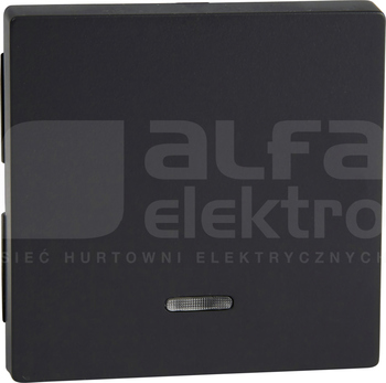 MERTEN M antracyt Klawisz+okienko sygn.