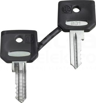 ZBG3131A KOMPLET 2 KLUCZY NR 3131A