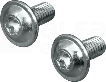 SZ M6x12 (300szt) Wkręt gwiazdkowy TORX
