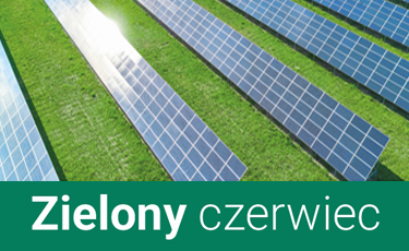 ZIelony czerwiec 2025